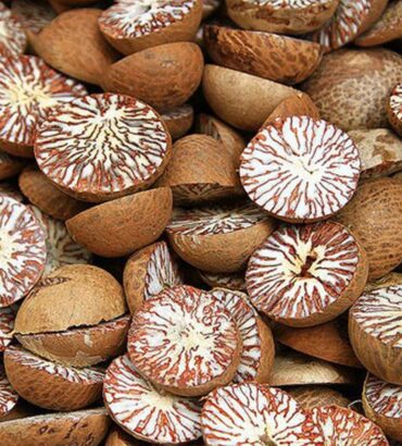 A5 Grade Whole Betelnuts